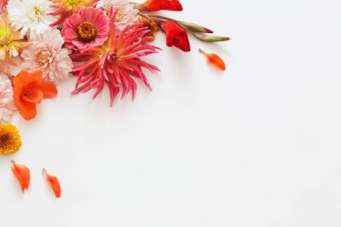 Beyaz arka plan üzerinde sonbahar çiçekler