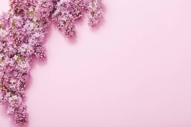 Kağıt arka plan üzerinde güzel lilak