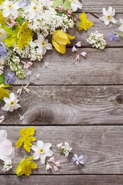 Tahta arka planda bahar çiçekleri