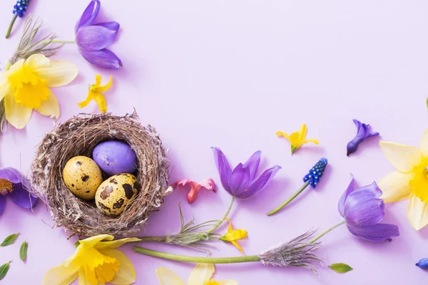 Uova Pasqua Nido Con Fiori Primaverili — Foto Stock