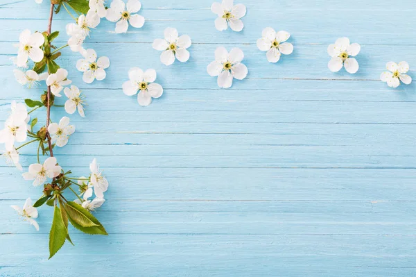 Lente Bloemen Blauwe Houten Achtergrond — Stockfoto