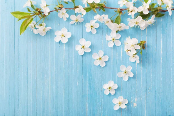 Frühlingsblumen Auf Blauem Holzhintergrund — Stockfoto