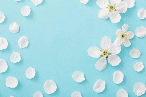 Cherry Flowers Paper Background — Stock Photo, Image