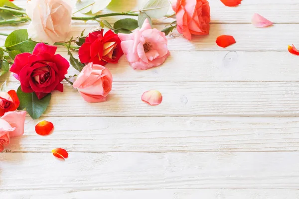 Rosas Sobre Fondo Blanco Madera — Foto de Stock