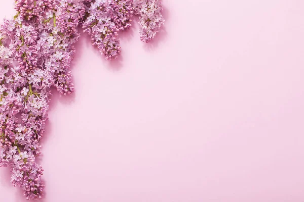 Kağıt arka plan üzerinde güzel lilak