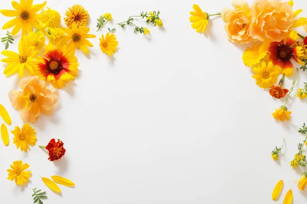 Κίτρινα Και Πορτοκαλί Λουλούδια Λευκό Φόντο — Φωτογραφία Αρχείου