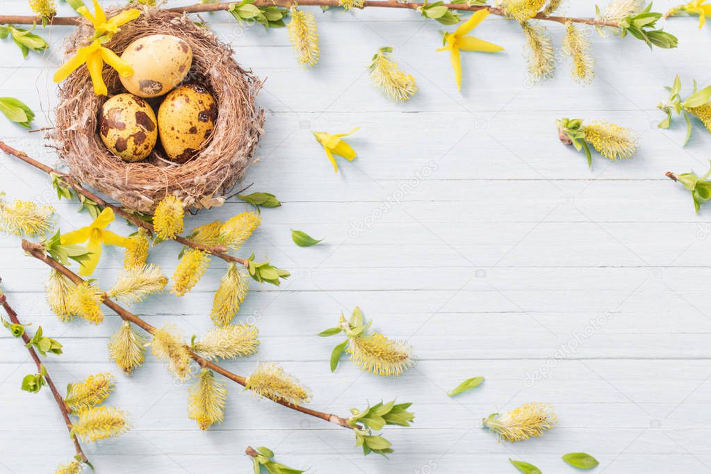 Easter eggs in nest with yellow flowers  on wooden background