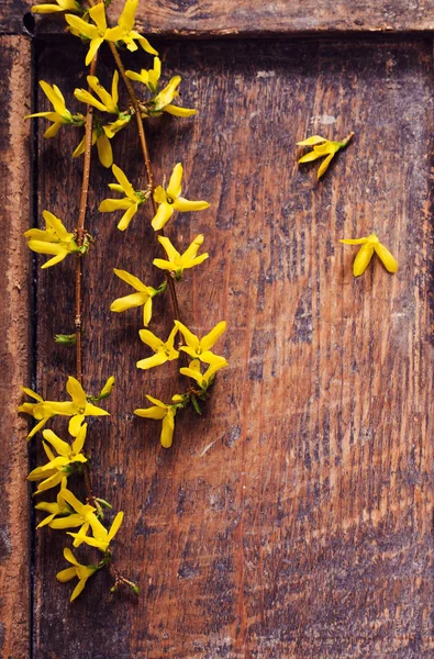 Våren Flowerson Gamla Trä Bakgrund — Stockfoto