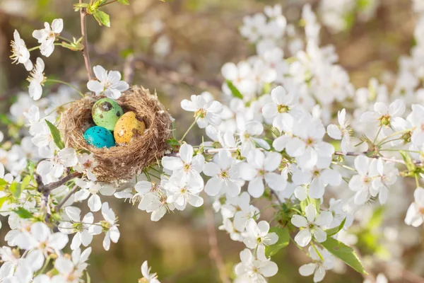 Uova Pasqua Nido All Aperto — Foto Stock