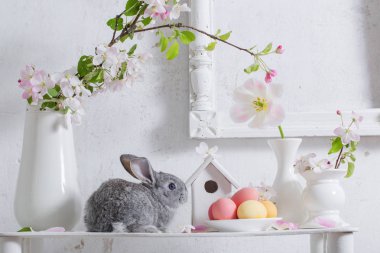 bunny Paskalya ile beyaz arka plan üzerinde yumurta