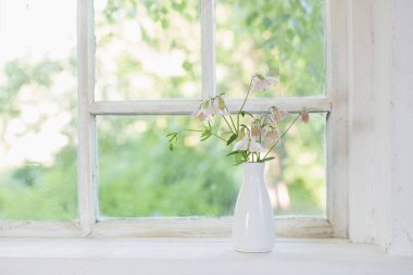 Columbine pencere üzerinde beyaz Vazoda Çiçekler