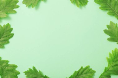 Kağıt arkaplanda yeşil yapraklar