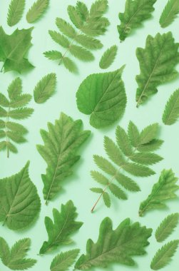 Kağıt arkaplanda yeşil yapraklar