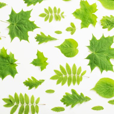 Kağıt arkaplanda yeşil yapraklar