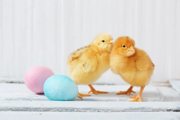 Huevo Gallina Pascua Sobre Fondo Madera Blanca —  Fotos de Stock