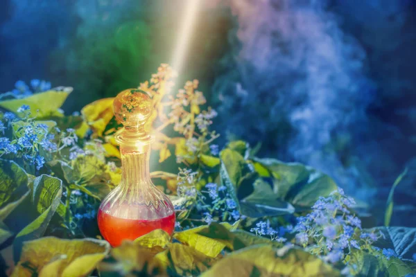 屋外の瓶の中の魔法の薬 — ストック写真