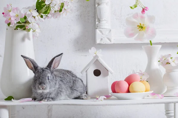 Lapin Avec Des Œufs Pâques Sur Fond Blanc — Photo