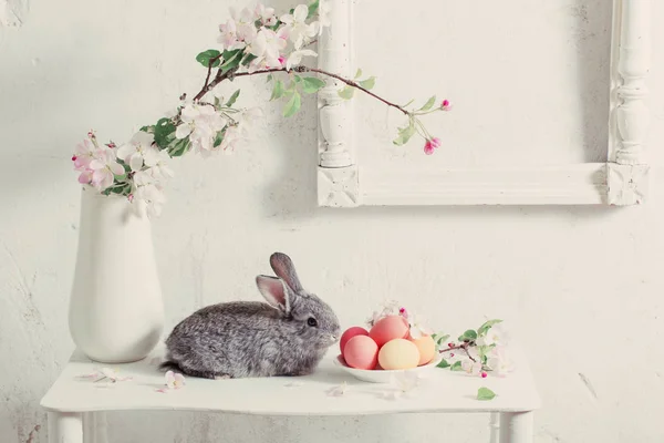 Lapin Avec Des Œufs Pâques Sur Fond Blanc — Photo