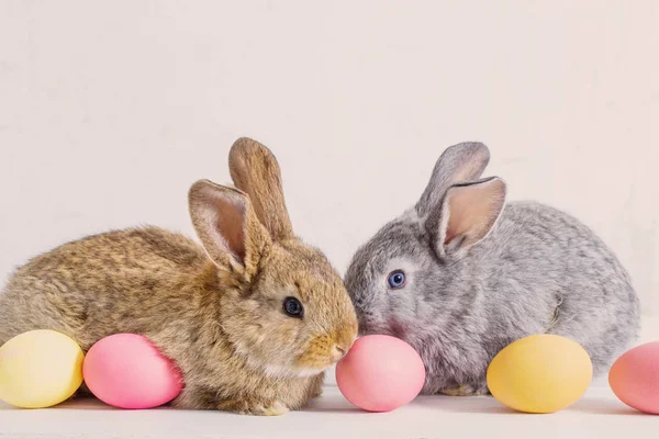 Bunnyes Avec Des Œufs Pâques Sur Fond Blanc — Photo