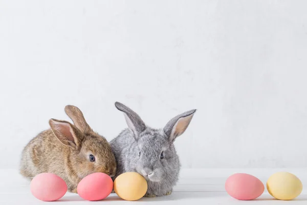 Bunnyes Com Ovos Páscoa Fundo Branco — Fotografia de Stock