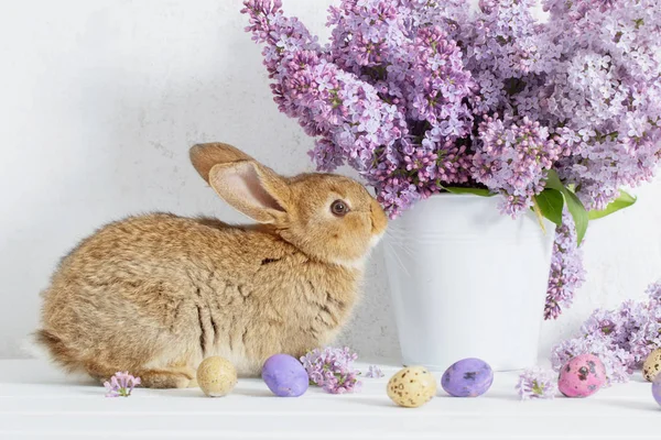 イースターのウサギの白い背景の上の花瓶にライラック — ストック写真