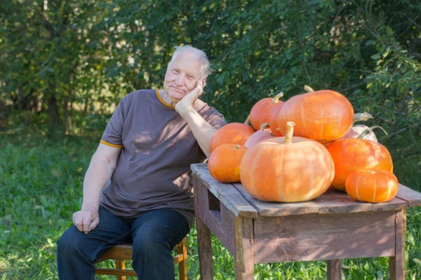 Oudere Mannen Met Oranje Pumpinks Buiten — Stockfoto