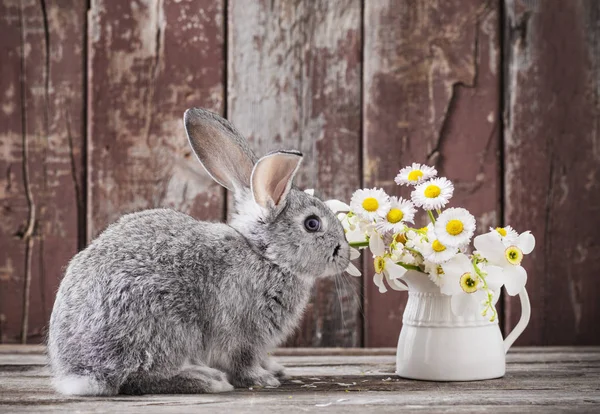 Bunnyes Med Vårblommor Gamla Trä Bakgrund — Stockfoto