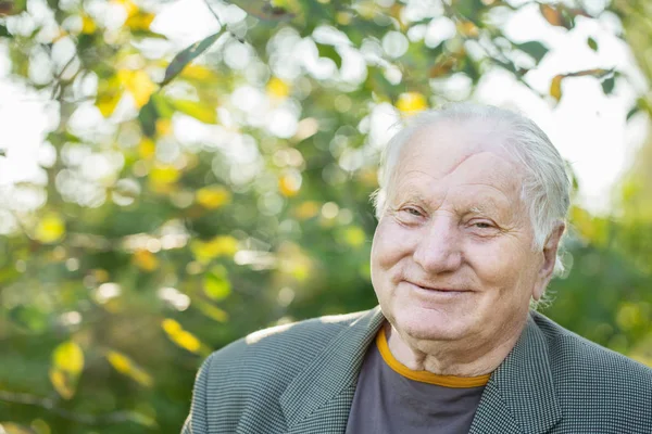 Портрет Пожилого Человека Солнечном Парке — стоковое фото