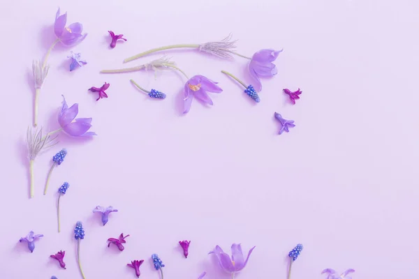 Flores Primavera Sobre Fondo Papel — Foto de Stock