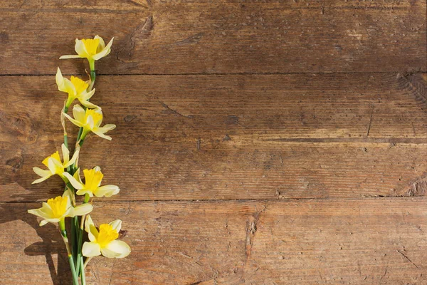 Žlutý Narcis Staré Dřevěné Pozadí — Stock fotografie