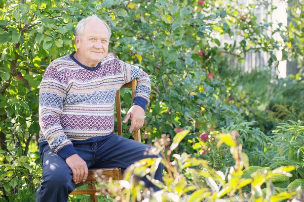 日当たりの良い庭で老人の肖像画 — ストック写真