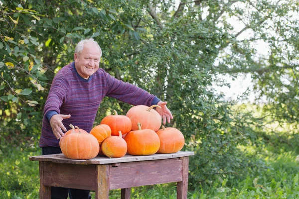 Oudere Mannen Met Oranje Pumpinks Buiten — Stockfoto