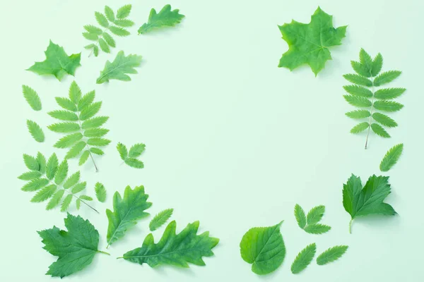 Groene Bladeren Papieren Ondergrond — Stockfoto