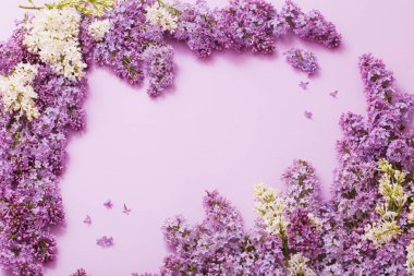 Kağıt arka plan üzerinde güzel lilak