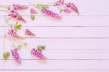 Lupine pembe ahşap zemin üzerine