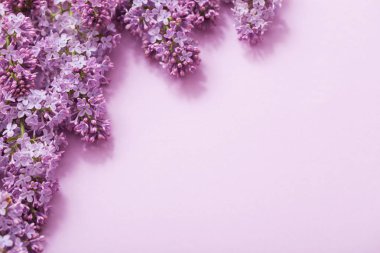 Kağıt arka plan üzerinde güzel lilak