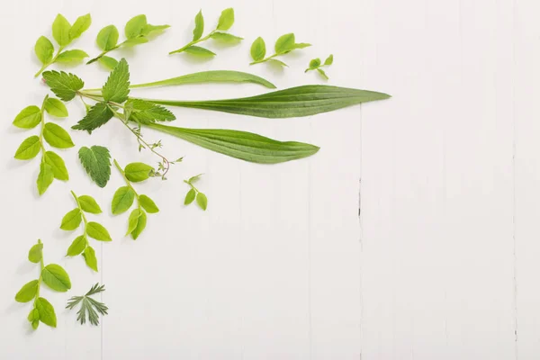白い木製の背景に花柄 — ストック写真