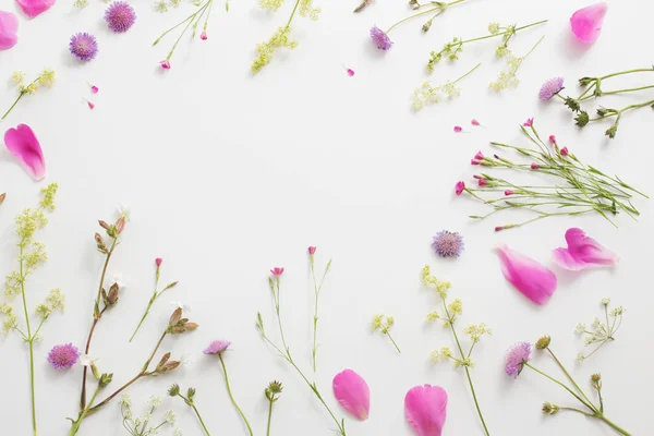 Fleurs Été Sur Fond Papier Blanc — Photo