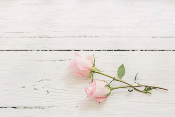 Rosa Rosen Auf Weißem Holzhintergrund — Stockfoto