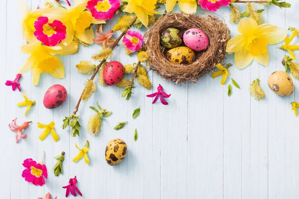 Пасхальные Яйца Гнезде Весенними Цветами Деревянном Фоне — стоковое фото