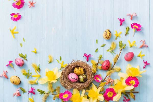 Uova Pasqua Nido Con Fiori Primaverili Sfondo Ligneo — Foto Stock