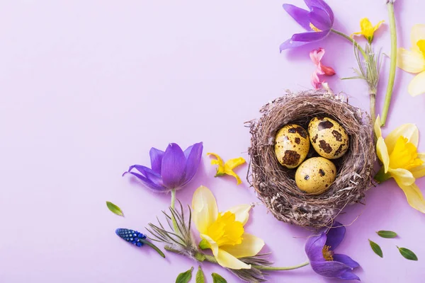 Uova Pasqua Nido Con Fiori Primaverili — Foto Stock