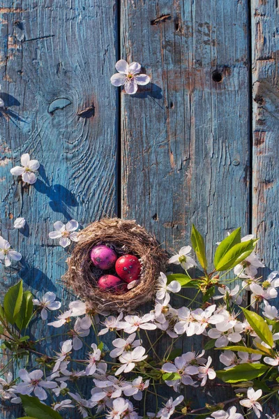 Uova Pasqua Nido Con Fiori Primaverili Sfondo Vecchio Legno — Foto Stock