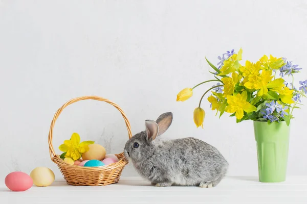 Coelho Com Ovos Páscoa Flores Fundo Branco — Fotografia de Stock