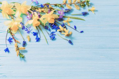 ahşap zemin üzerine sarı ve mavi bahar çiçekleri