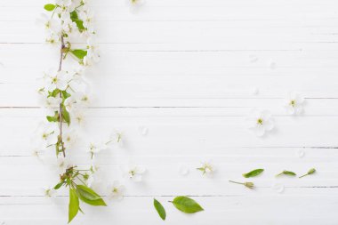 Beyaz ahşap arka planda bahar çiçekleri