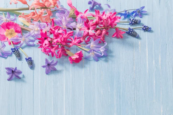 Våren Blommor Gamla Blå Trä Bakgrund — Stockfoto