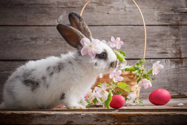 Conejo Pascua Con Huevos Rosados Sobre Fondo Madera Viejo —  Fotos de Stock