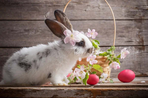 Lapin Pâques Aux Œufs Roses Sur Vieux Fond Bois — Photo