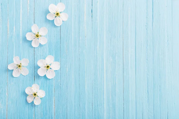 Flores Primavera Sobre Fondo Madera Azul —  Fotos de Stock